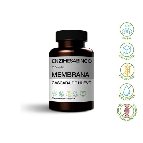 enzime sabinco MEMBRANA CASCARA  HUEVO .Colágeno,Condroitina,Glucosamina.......